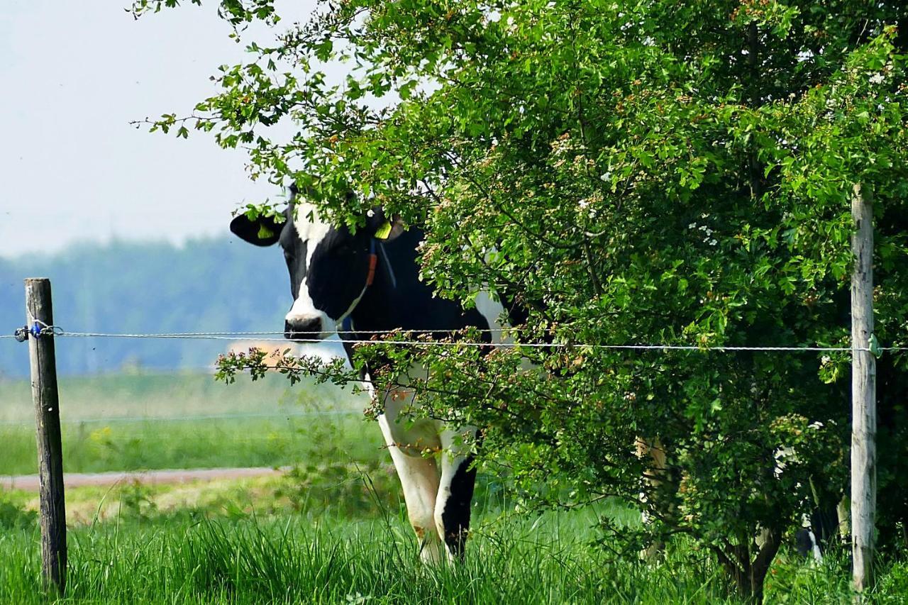 Boerderij Zonneveld Villa Rossum  Bagian luar foto