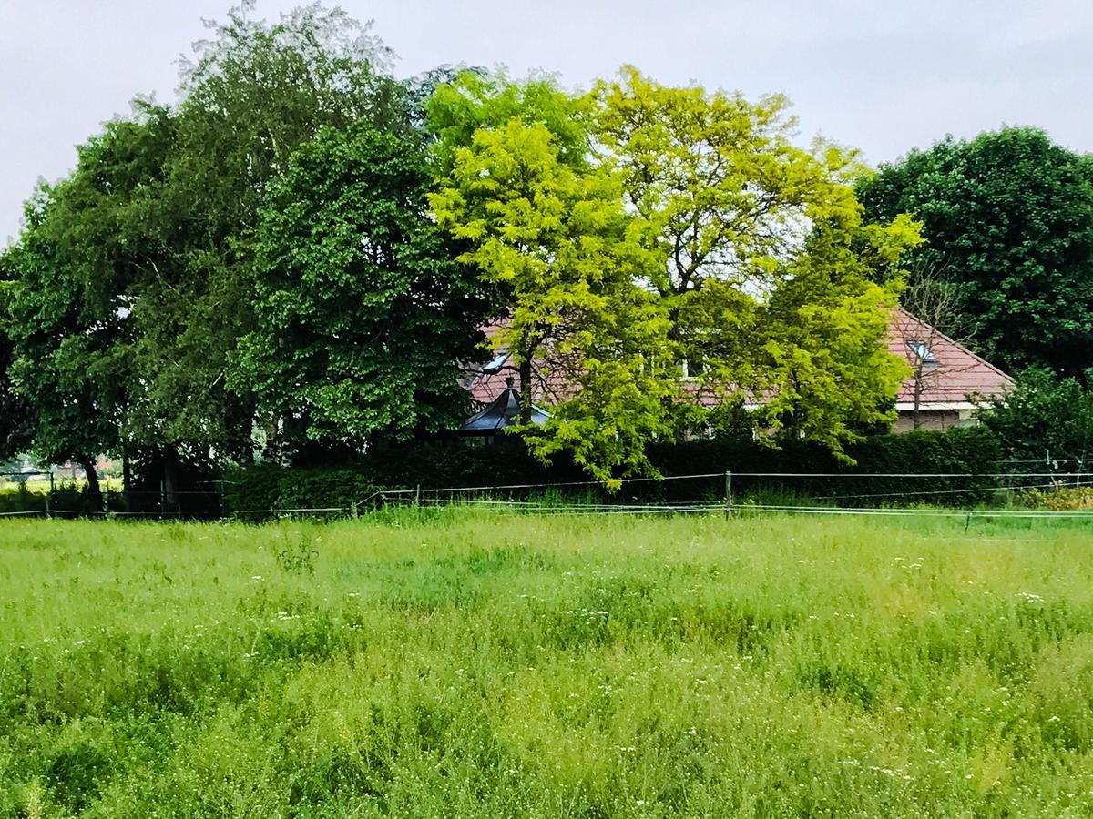 Boerderij Zonneveld Villa Rossum  Bagian luar foto
